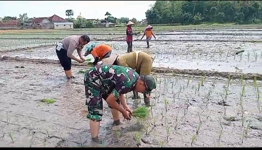 Bhabinkamtibmas dan Babinsa Gandeng Kelompok Tani Genteng Tingkatkan Ketahanan Pangan Lokal