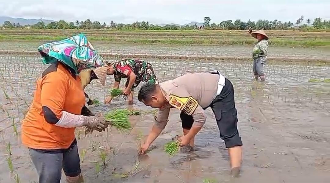 Bhabinkamtibmas dan Babinsa Gandeng Kelompok Tani Genteng Tingkatkan Ketahanan Pangan Lokal