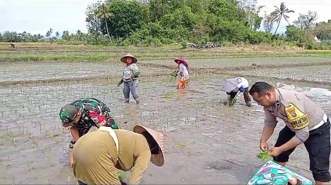 Bhabinkamtibmas dan Babinsa Gandeng Kelompok Tani Genteng Tingkatkan Ketahanan Pangan Lokal
