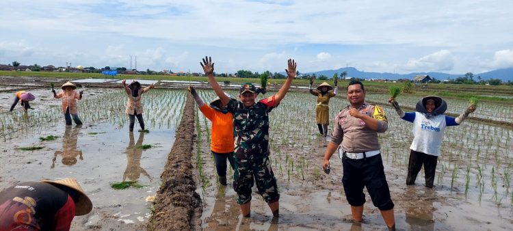 Bhabinkamtibmas dan Babinsa Gandeng Kelompok Tani Genteng Tingkatkan Ketahanan Pangan Lokal