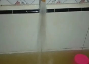 Penebangan Liar di Kalibendo Rusak Air Bersih, Warga Kampunganyar Desak Pemerintah Bertindak