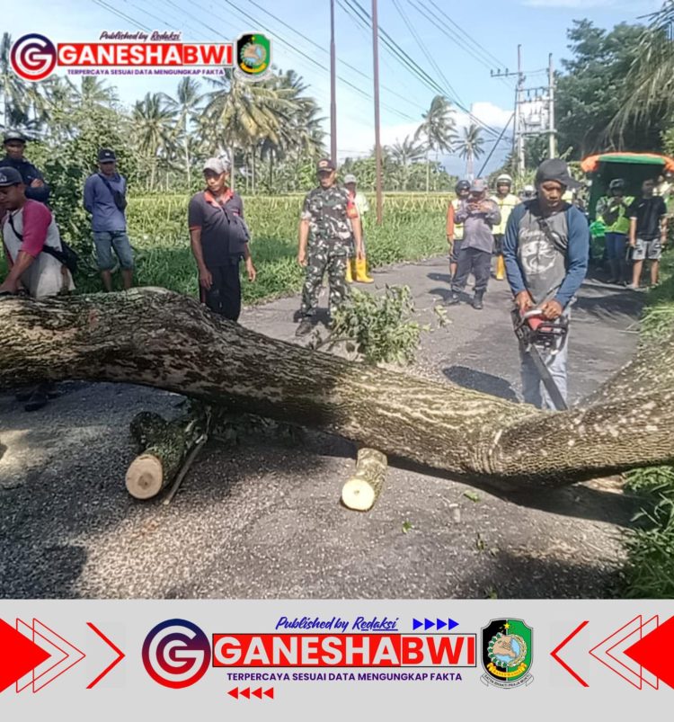 Evakuasi Cepat Pohon Tumbang di Dusun Derwono oleh Tim Gabungan