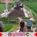 Babinsa Sumberarum dan Warga Gotong Royong Perbaiki Infrastruktur Desa Babinsa Sumberarum dan Warga Gotong Royong Perbaiki Infrastruktur Desa