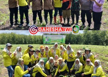 Sinergi Perhutani dan Stakeholder: Ribuan Pohon Ditanam Bersama di Banyuwangi