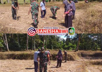 Koramil 0825/20 Songgon Bersama Petani Desa Bayu Perkuat Ketahanan Pangan dengan Tanam Jagung