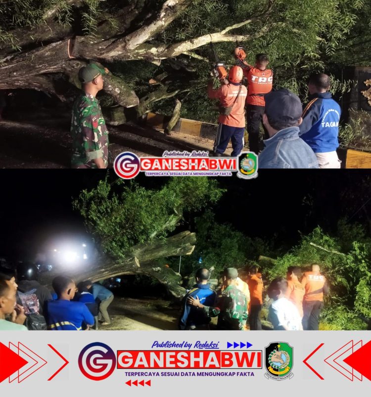 Babinsa Koramil 0825/13 Singojuruh Bersihkan Pohon Tumbang yang Halangi Jalan