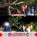 Babinsa Koramil 0825/13 Singojuruh Bersihkan Pohon Tumbang yang Halangi Jalan