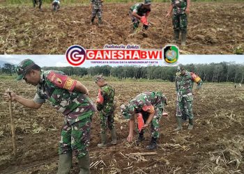 Babinsa Glenmore Bantu Petani Tegalharjo Wujudkan Ketahanan Pangan