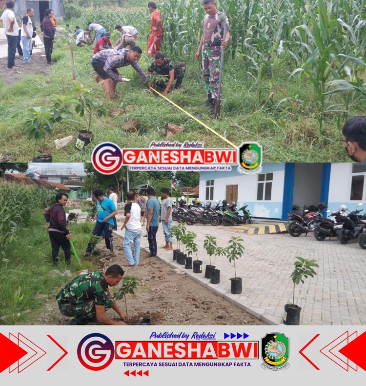 Danramil 12 Rogojampi Pimpin Penanaman 24 Pohon Alpukat di SPPG