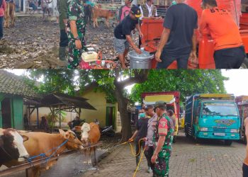 Babinsa Rogojampi dan Petugas Kesehatan Semprot Disinfektan di Pasar Hewan untuk Cegah PMK
