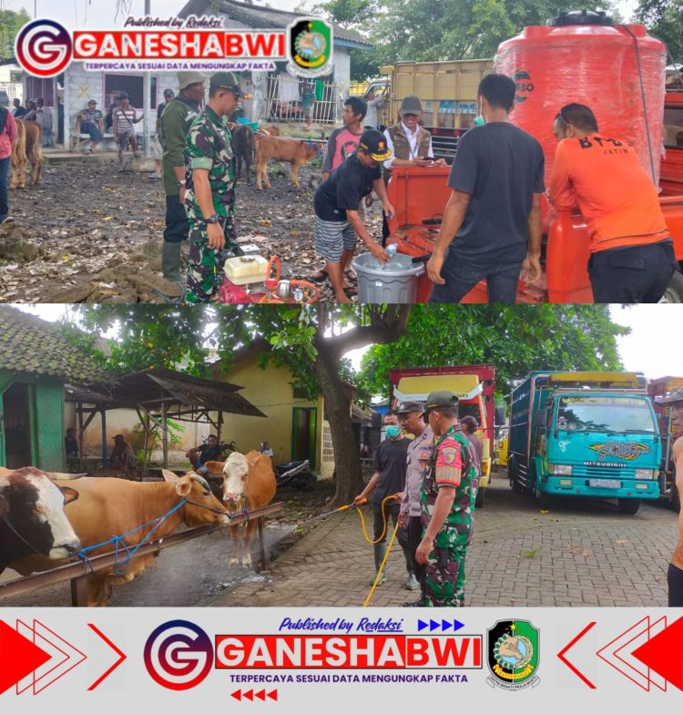 Babinsa Rogojampi dan Petugas Kesehatan Semprot Disinfektan di Pasar Hewan untuk Cegah PMK