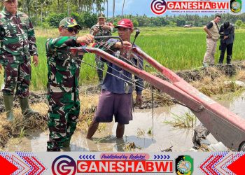 TNI dan Petani Bersama Wujudkan Swasembada Pangan di Banyuwangi