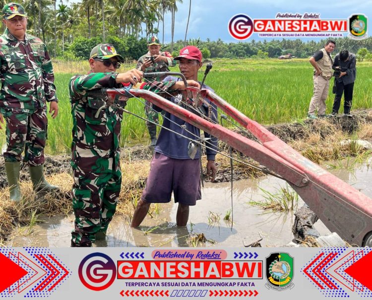 TNI dan Petani Bersama Wujudkan Swasembada Pangan di Banyuwangi