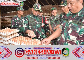 Dandim 0825 Banyuwangi Tinjau Peternakan Ayam Petelur Milik Danramil Sempu untuk Dukung Kemandirian Ekonomi