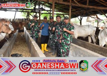 Kodim 0825/Banyuwangi Dorong Pertanian Ramah Lingkungan Lewat Pembuatan Pupuk Organik