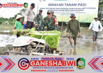 Kodim 0825 Banyuwangi dan Dinas Pertanian Gelar Gerakan Tanam Padi Bersama untuk Ketahanan Pangan