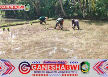Babinsa Desa Pesucen Dampingi Petani Tingkatkan Luas Tambah Tanam untuk Ketahanan Pangan