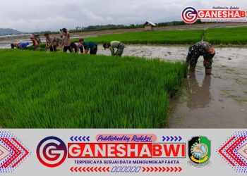 Posramil dan Polsek Tegalsari Bersinergi Mendampingi Petani Tanam Padi di Desa Tegalrejo