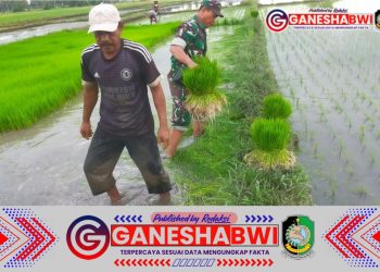 Koramil Singojuruh Laksanakan Program Luas Tambah Tanam (LTT) di Desa Gumirih
