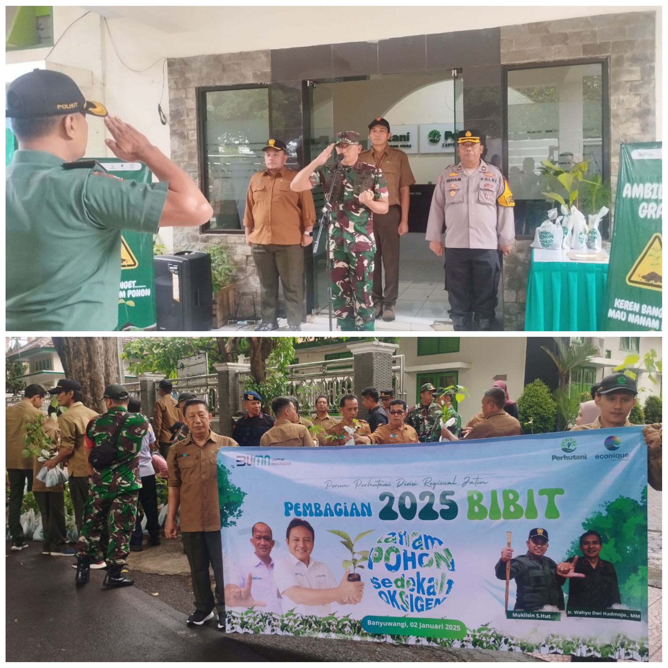 Dandim 0825 Banyuwangi dan Perhutani Bagikan 2025 Bibit Pohon untuk Pelestarian Lingkungan