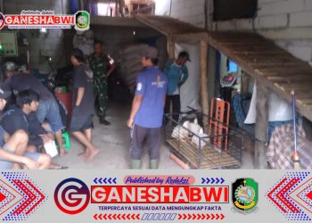 Babinsa Jambewangi Dampingi Peternak Ayam Potong, Tekankan Perawatan dan Kebersihan