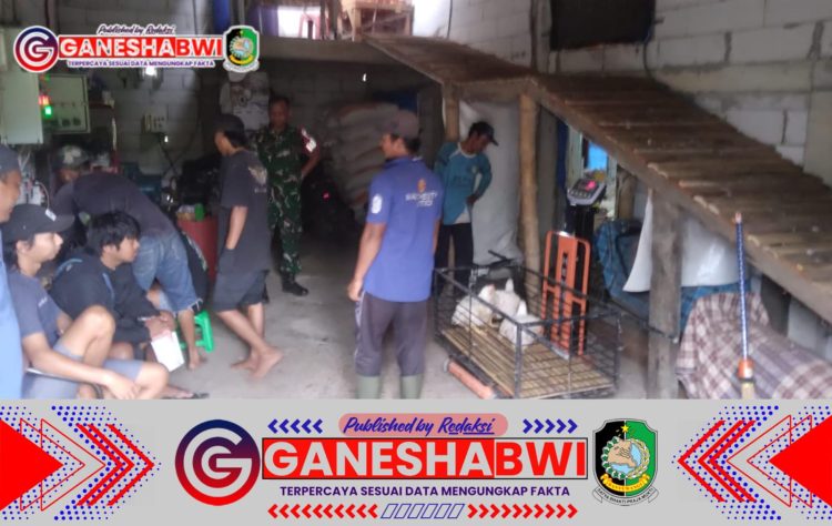 Babinsa Jambewangi Dampingi Peternak Ayam Potong, Tekankan Perawatan dan Kebersihan