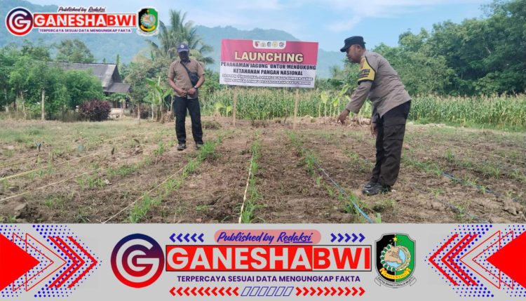 Polresta Banyuwangi Dukung Ketahanan Pangan, Optimalkan Pemanfaatan Lahan Polresta Banyuwangi Dukung Ketahanan Pangan, Optimalkan Pemanfaatan Lahan