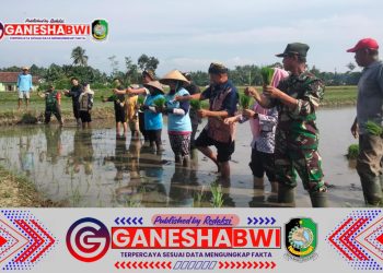 Kunjungan Kementerian Pertanian di Banyuwangi: Dukung Petani dan Ketahanan Pangan