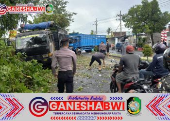 Polresta Banyuwangi dan Instansi Terkait Sigap Atasi Pohon Tumbang Akibat Angin Kencang