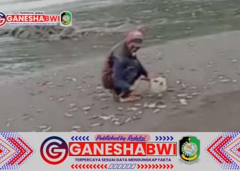 Ribuan Ikan Terdampar di Pantai Paras Gempal, Warga Banyuwangi Heboh
