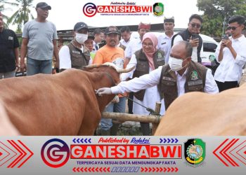 Banyuwangi Genjot Vaksinasi Puluhan Ribu Sapi untuk Cegah Wabah PMK