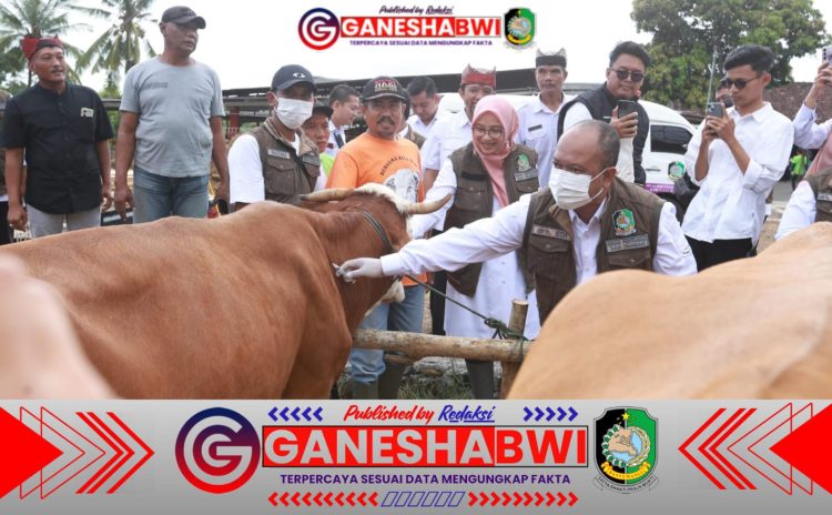 Banyuwangi Genjot Vaksinasi Puluhan Ribu Sapi untuk Cegah Wabah PMK