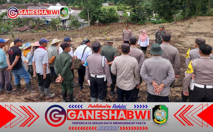 TNI-Polri Bersinergi dengan Masyarakat Kalibaru, Sukses Tanam Jagung di Lahan 4 Hektar