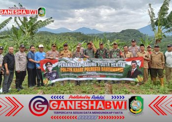 TNI-Polri Bersinergi, Dukung Swasembada Pangan Lewat Tanam Jagung di Desa Macan Putih