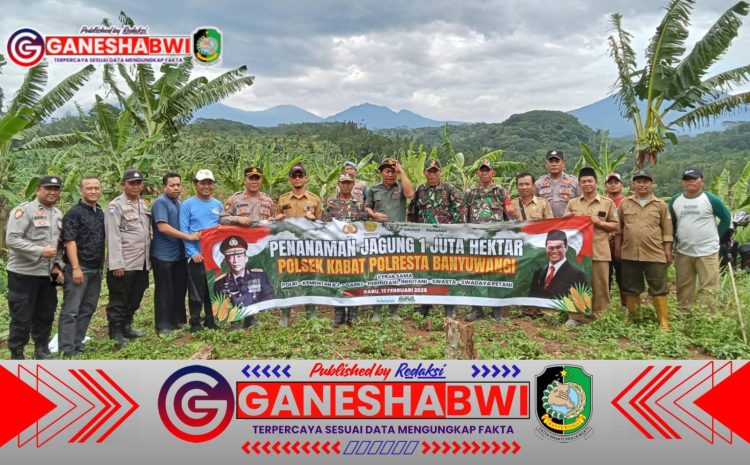 TNI-Polri Bersinergi, Dukung Swasembada Pangan Lewat Tanam Jagung di Desa Macan Putih