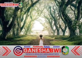 Eksplorasi Keindahan Banyuwangi: Destinasi Wisata Terbaik yang Wajib Dikunjungi