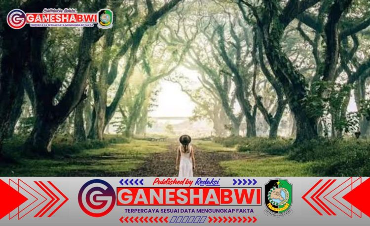 Eksplorasi Keindahan Banyuwangi: Destinasi Wisata Terbaik yang Wajib Dikunjungi