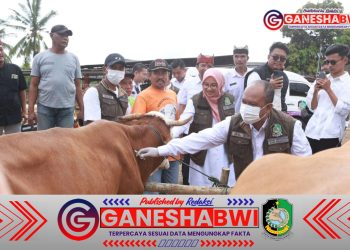 Banyuwangi Terima 33.525 Dosis Vaksin PMK, Langsung Sasar Sentra Peternakan