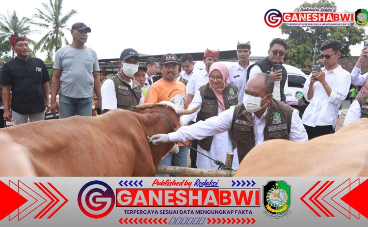 Banyuwangi Terima 33.525 Dosis Vaksin PMK, Langsung Sasar Sentra Peternakan