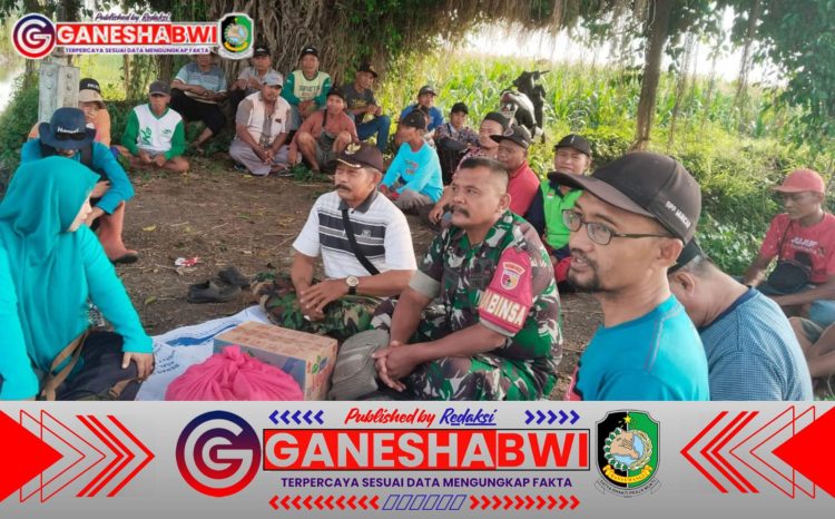 Babinsa Koramil 0825/17 Muncar Gelar Tasyakuran Tutup Tanam dan Lepas Sambut PPL di Desa Kedungringin