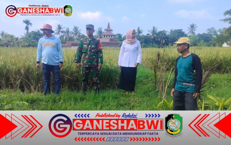 Babinsa Jambesari Dampingi Pengecekan Irigasi di Dusun Delik 1