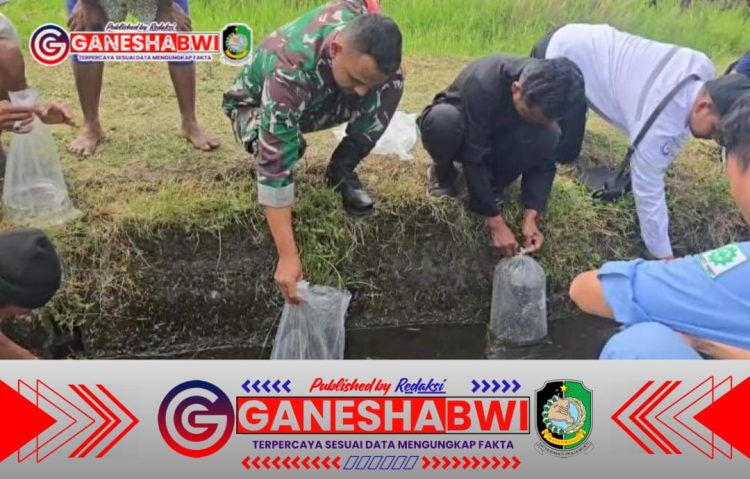 Babinsa Koramil 12/Rogojampi Tebar Benih Gurami, Jaga Ekosistem Perairan di Blimbingsari