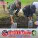 Babinsa Koramil 12/Rogojampi Tebar Benih Gurami, Jaga Ekosistem Perairan di Blimbingsari