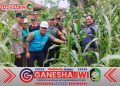 Kodim 0825 Banyuwangi Lakukan Survey Lokasi IRPOM, Dukung Pertanian Organik Berkelanjutan