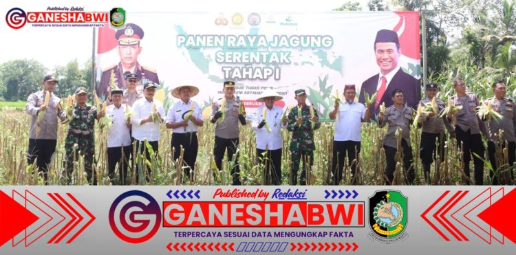 Polresta Banyuwangi Panen Jagung Serentak, Perkuat Ketahanan Pangan Nasional