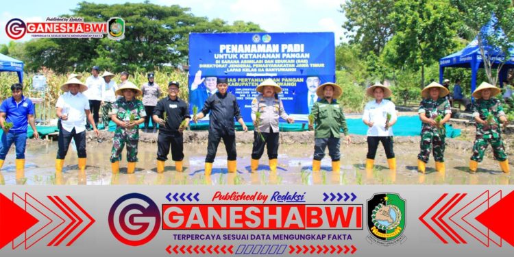 Lapas Banyuwangi Tanam Padi di SAE Pakis, Warga Binaan Berkontribusi untuk Ketahanan Pangan