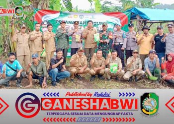 Sinergi TNI-Polri-Perhutani, Penanaman Jagung di Songgon Dukung Ketahanan Pangan