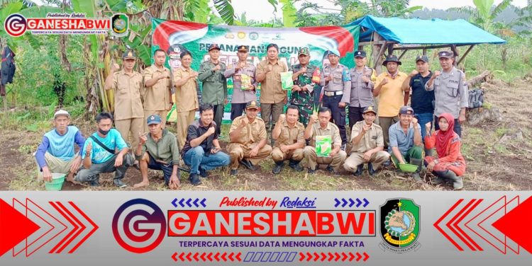 Sinergi TNI-Polri-Perhutani, Penanaman Jagung di Songgon Dukung Ketahanan Pangan