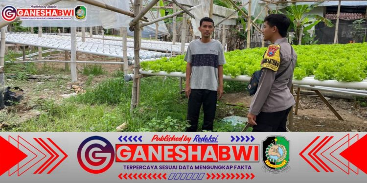 Polresta Banyuwangi Dukung Ketahanan Pangan Lewat Implementasi Program Asta Cita Presiden Polresta Banyuwangi Dukung Ketahanan Pangan Lewat Implementasi Program Asta Cita Presiden