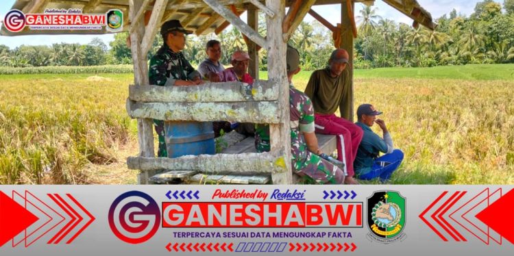 Babinsa Koramil 0825/20 Songgon Dampingi Sosialisasi Serapan Gabah untuk Dukung Ketahanan Pangan